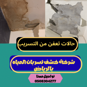 شركة كشف تسربات المياه بالرياض